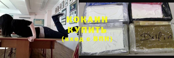 молекула духа Арсеньев