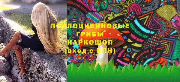 мдпв Армянск