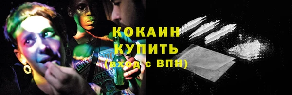 молекула духа Арсеньев
