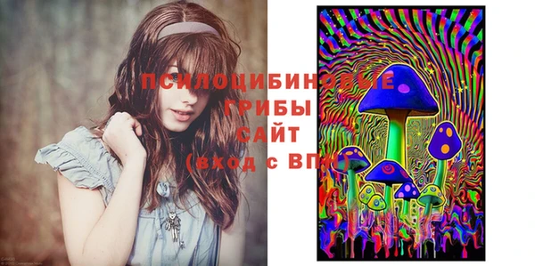 соль ск Аркадак