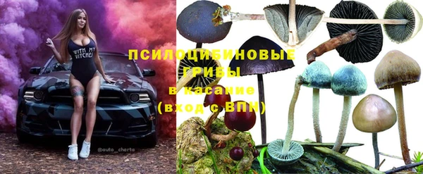 соль ск Аркадак