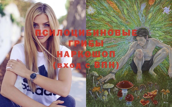 гидропоника Нязепетровск
