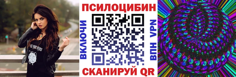 Псилоцибиновые грибы Cubensis как найти закладки Солнечногорск