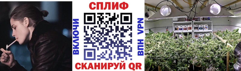 Шишки марихуана White Widow Солнечногорск